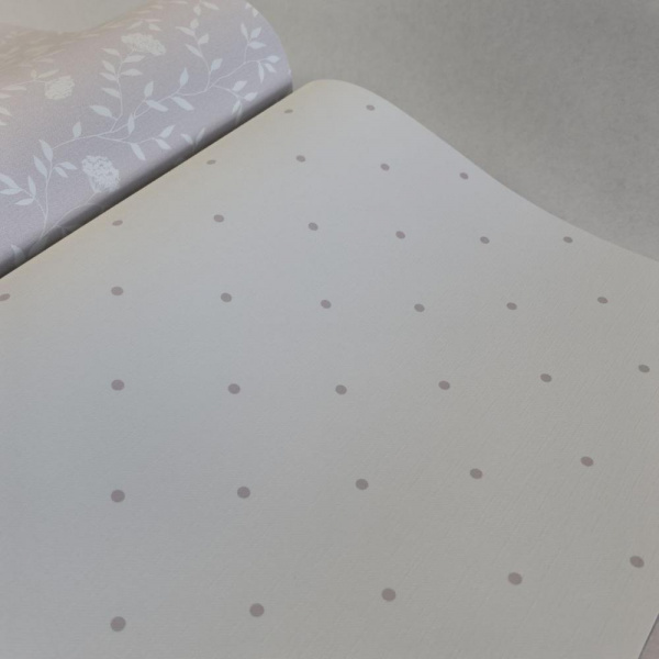 Andrea Rossi Spectrum Box 54454-18 Andrea Rossi Spectrum Box 54454-18