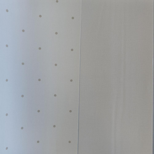 Andrea Rossi Spectrum Box 54454-1