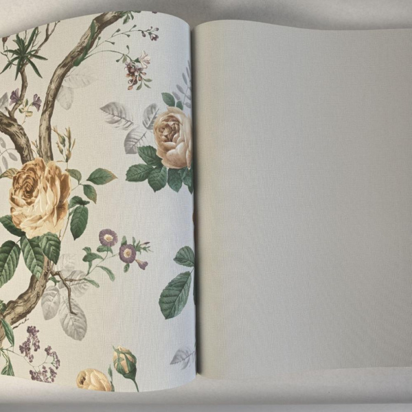 Andrea Rossi Cavolli 54420-9 Andrea Rossi Cavolli 54420-9