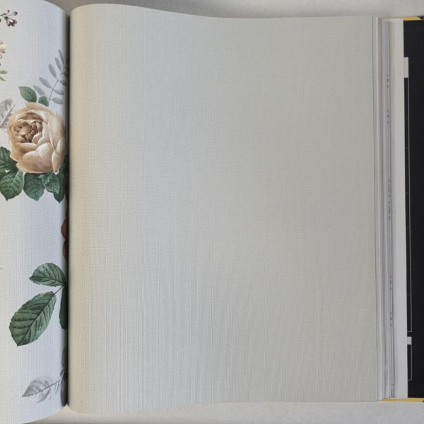 Andrea Rossi Cavolli 54420-9 Andrea Rossi Cavolli 54420-9