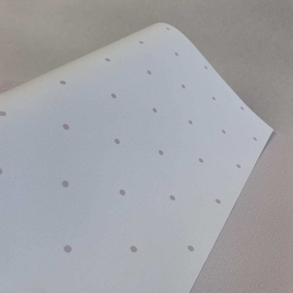 Andrea Rossi Spectrum Box 54454-18 Andrea Rossi Spectrum Box 54454-18