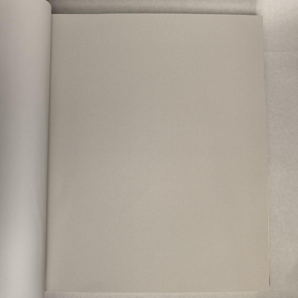 Andrea Rossi Berggi 54450-2