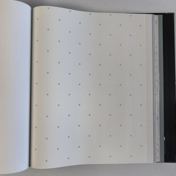 Andrea Rossi Spectrum Box 54454-1